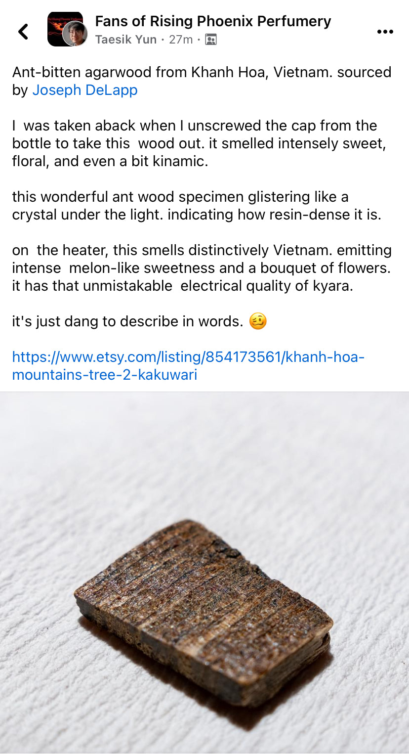 Khanh Hoa Mountains Tree 2 Kakuwari/Slices : Vietnamese Ant King Agarwood