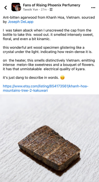 Khanh Hoa Mountains Tree 2 Kakuwari/Slices : Vietnamese Ant King Agarwood