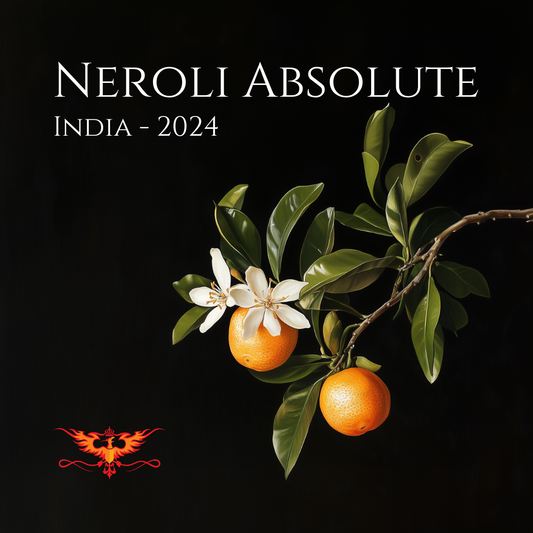 Neroli Absolute India 2024 - Rising Phoenix Perfumery Atelier