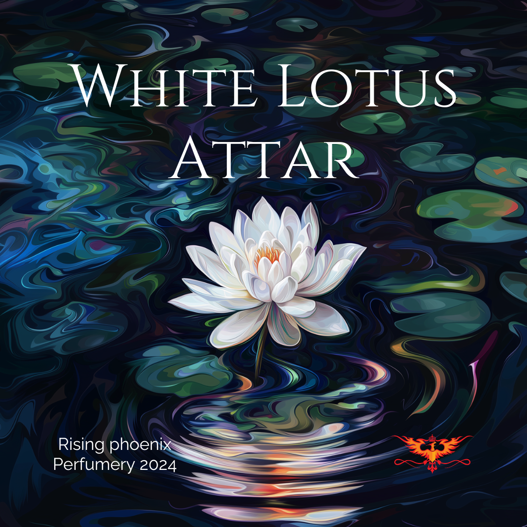 White Lotus Attar - RPP Lotus Series