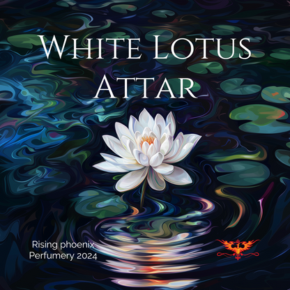 White Lotus Attar - RPP Lotus Series