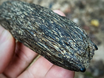 Brunei Fast Sinking Agarwood 53.5g - Bead/Carving Grade Collector’s Piece - RisingPhoenixPerfumery.com