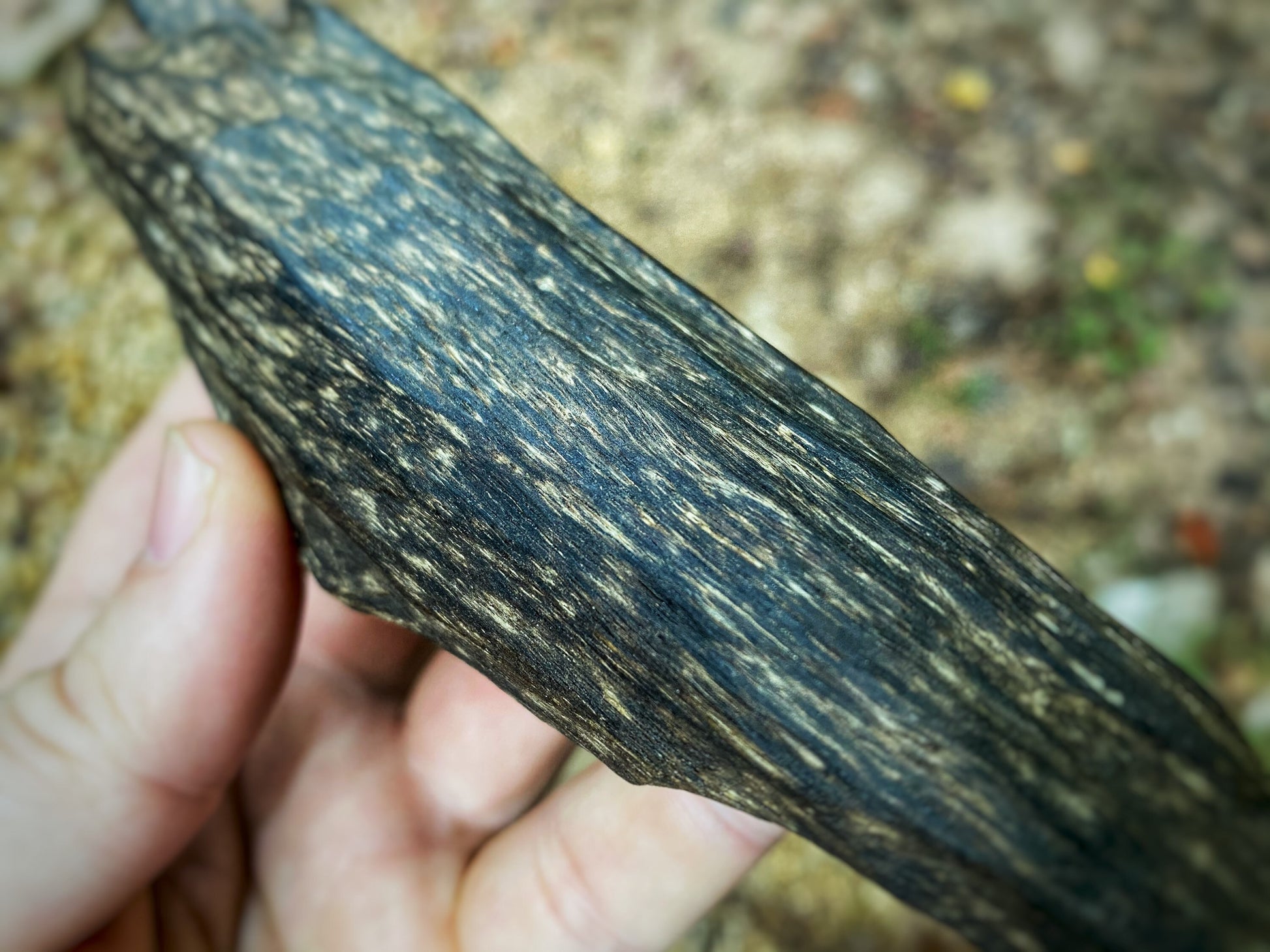 Vietnam Ant King 86.5g Vietnamese Khanh Hoa Clay - Agarwood Collector’s Grade Chen Xiang - Agarwood Log - Nha Trang Vietnam - Chips Bakhoor - RisingPhoenixPerfumery.com