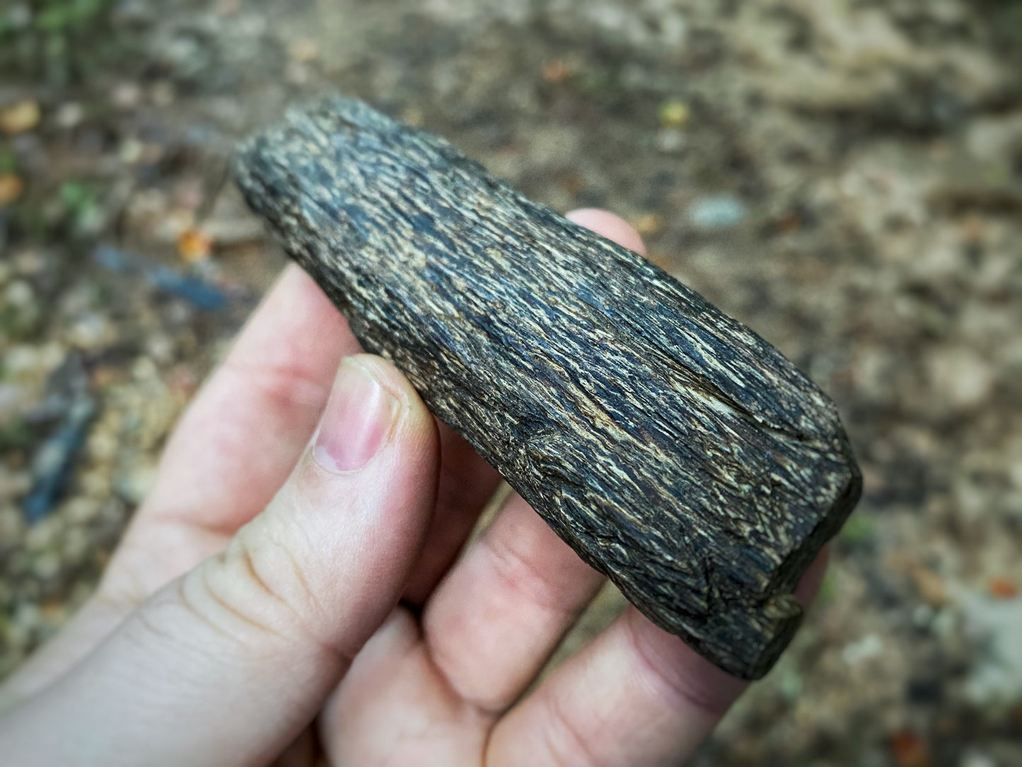 Brunei Fast Sinking Agarwood 53.5g - Bead/Carving Grade Collector’s Piece - RisingPhoenixPerfumery.com