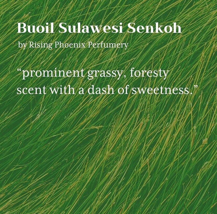 Buol Sulawesi Senkoh 2021 : Central Sulawesi Incense Sticks - Incense Sticks - Indonesian Series - RisingPhoenixPerfumery.com